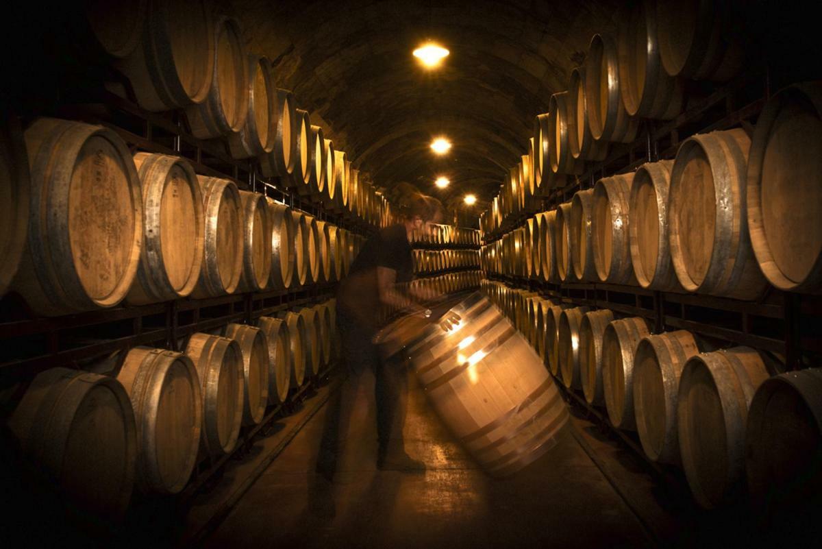 Hotel Vinicola Real-200 Monges Albelda De Iregua Eksteriør bilde